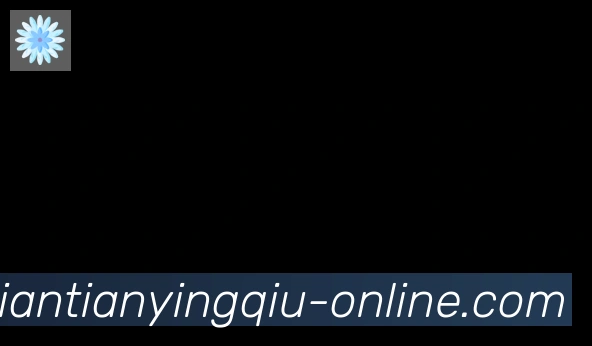 天天盈球体育直播合作伙伴